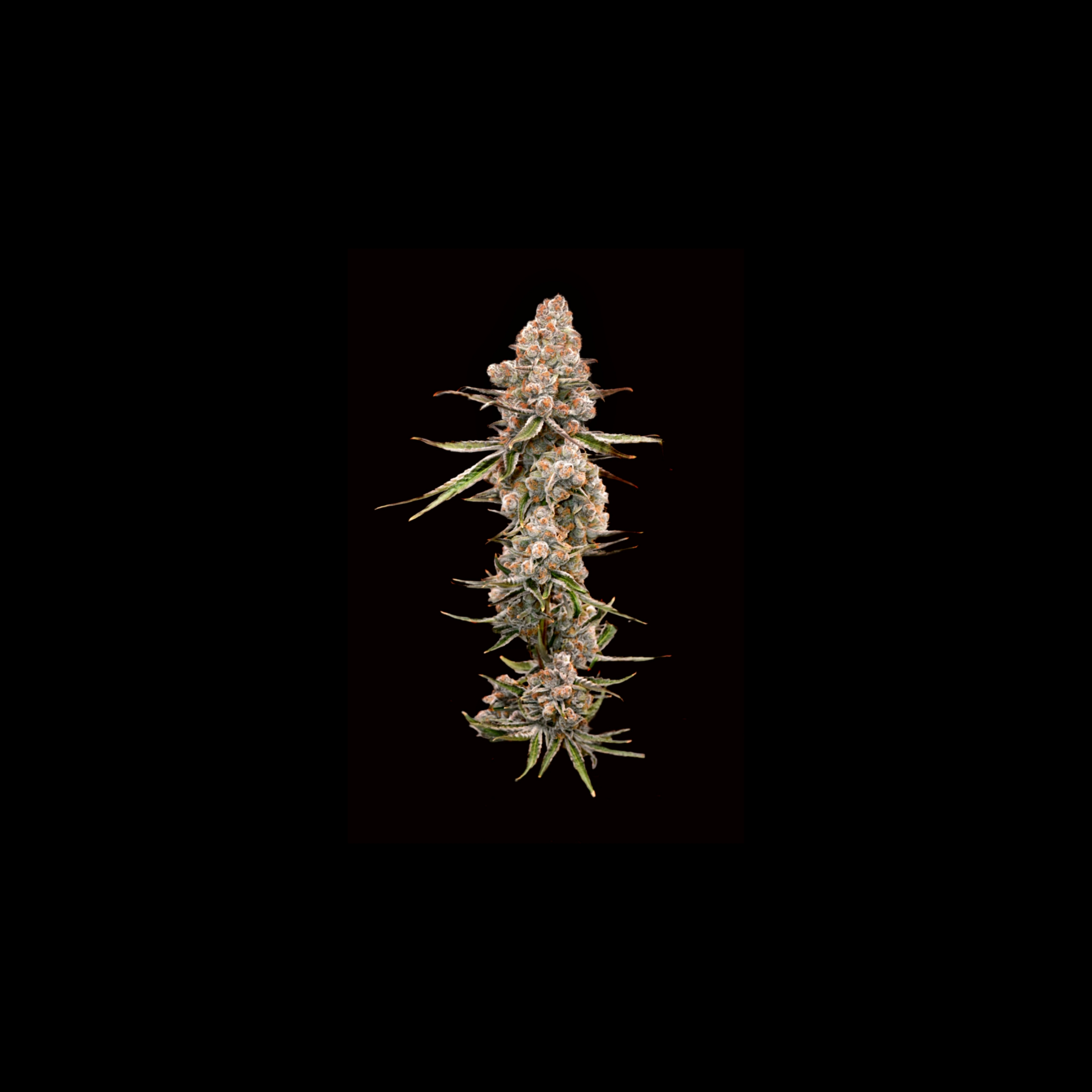 Indoor Image